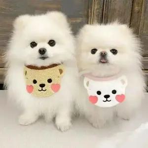[콩심팥심]강아지 고양이 귀여운 턱받이 스카프