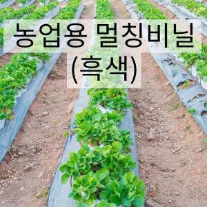농업용 멀칭비닐 (0.02X 90㎝ X 200m)