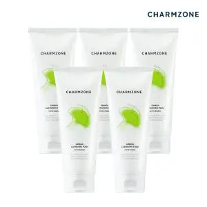 참존 징코 내츄럴 클렌징 폼 200ml 5개