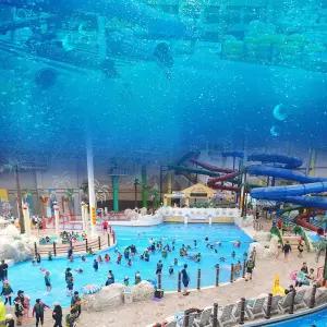 [천안] 상록리조트 아쿠아피아 입장권!/워터파크/물놀이/실내수영장/충남/천안/충남가볼만한곳/충남아이와함께