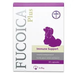 DrRay 강아지 고양이 후코이카 플러스 영양제