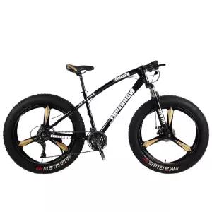 팻바이크 30단 광폭타이어 26인치 오프로드 산악자전거 성인용