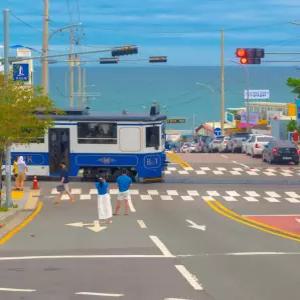 [부산]해운대 블루라인파크 해변열차 이용권