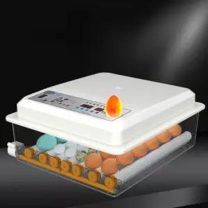 병아리 부화기 달걀 가정용 닭산란통 자동 키우기 배터리 육추기 메추라기 온도 유정란