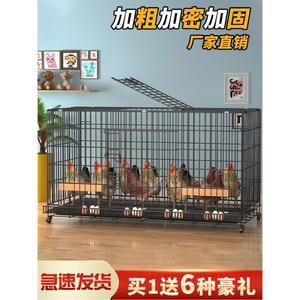 조립식양계장 만들기 닭케 이동식 애완 하우스 철제 오리 diy 농장 야외 시골 닭장