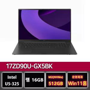 LG그램 프로 17ZD90U-GX5BK 팬서레이크 U5 노트북 윈11설치 512GB교체