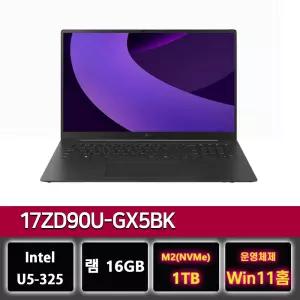 LG그램 프로 17ZD90U-GX5BK 팬서레이크 U5 노트북 윈11설치 1TB교체
