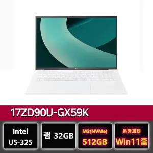 LG그램 프로 17ZD90U-GX59K 램32G 팬서레이크 U5 노트북 윈11설치 512GB교체