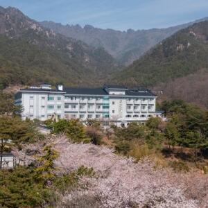 [경북] 가야호텔(경북호텔/성주호텔/성주가야호텔)