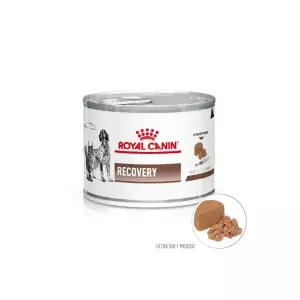 [라온펫동물병원]로얄캐닌 리커버리 캔 195g*6개 RECOVERY CAN 195g*6개