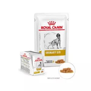 [라온펫동물병원]로얄캐닌 독 유리너리 파우치100g+12 URINARY S/O 100g+12