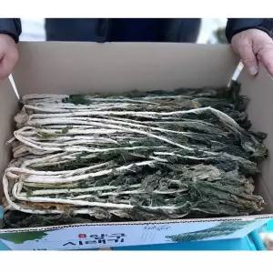 양구펀치볼 햇 무청 시래기 1kg (건조) /프리미엄급 건시래기기