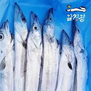 제주 선동갈치 1상자 (10Kg)  45마리