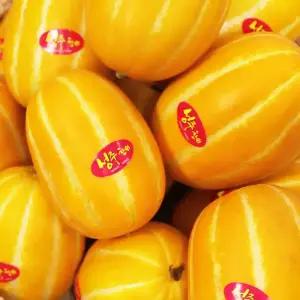 옥이네청과 꿀 성주 참외 9kg 10kg 랜덤발송 못난이 참외