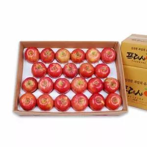 [GAP인증 산지직송]NH 충주 못난이사과 10Kg 랜덤과