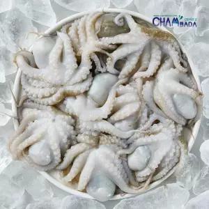 [만능수산시장] 만능 통 주꾸미 600g x 5팩 + 만능볶음소스 50g x 5팩
