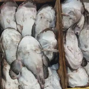 생물 손질 아귀 3.5kg급