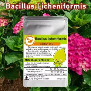 30g 다중 변이 Bacillus licheniformis 미생물 유기 비료 제어제 - 식물 병원균 억제용