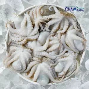 참바다 만능통쭈꾸미 500g(20미) 5팩+만능소스 50g 5팩