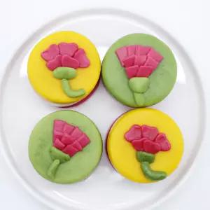 가정의달 쌀이랑놀자 요리놀이 키트 어린이 활동 체험 만들기 수업 KIT  - 카네이션떡카롱KIT