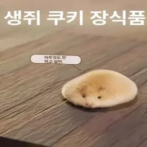 리얼 햄스터 인형 햄찌 모찌 장난꾸러기 쥐빵 1개 신상품