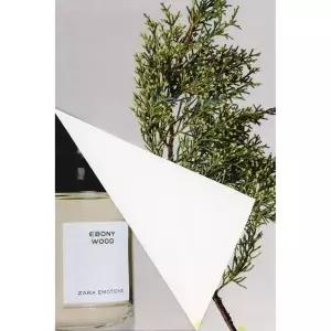 zara 자라 EBONY WOOD 오드 퍼퓸 100ML (3.4 FL.OZ)