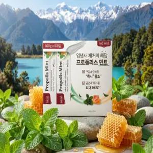 레드씰 프로폴리스 치약 민트 160g x5개