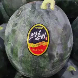 황금열매 국내산 고당도 맛있는 흑수박 4-5kg (판매자추천)