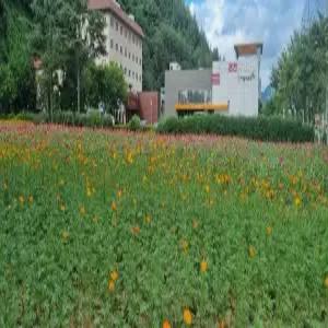 [경북] 주왕산온천관광호텔(경북호텔/청송호텔/청송주왕산온천관광호텔)