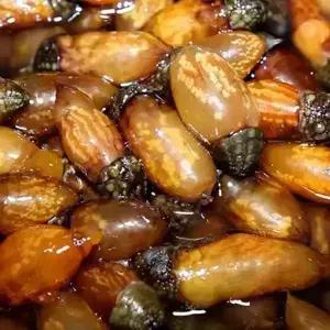 마산 진동면 생물미더덕1kg