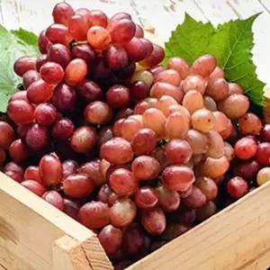 [팜쿡] 고당도 적포도 크림슨포도 1kg x2팩