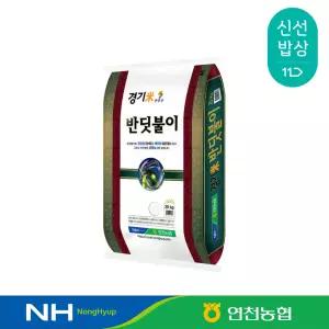[연천농협] 25년산 반딧불이쌀 20kg 단일품종