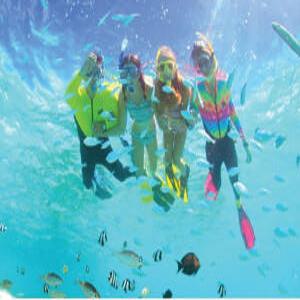 [괌] 피쉬아이 마린파크 스노클링 VS 스노클링 + 런치뷔페(선택가능)