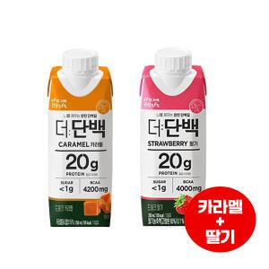 빙그레 더단백드링크 250mL 카라멜맛8+딸기맛8 /단백질보충음료/우유/무배