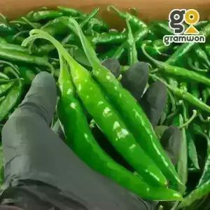 청양고추 매운 땡초 청량고추 10KG 국내산