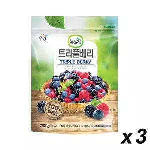 냉동 뉴뜨레 트리플베리 700gx3개입