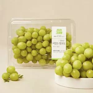 칠레산 씨 없는 청포도 700g 팩
