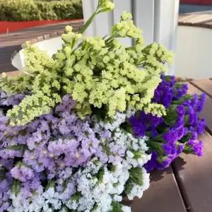 오후의 꽃 스타티스 스타치스 보라색꽃 꽃배달 싼곳 생화택배