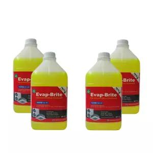 에바브라이트 3.78L 에어컨 냉각핀 코일 전용세정제 1박스