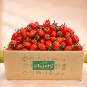[자연마루]충남 부여 대추방울토마토 3-4번과 2kg /2세트 주문시 5kg 발송