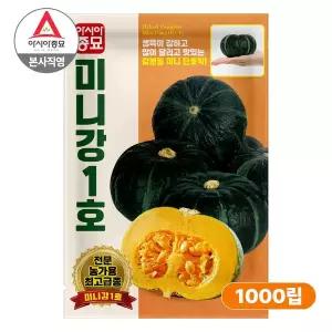 [아시아종묘] 씨앗 단호박 미니강1호 1000립