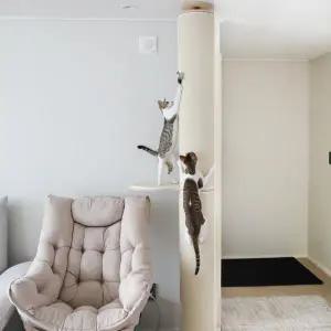 [캣트럴파크]고양이 수직스크래쳐 캣폴 캣타워 본능적타워