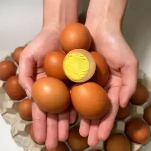 난각번호 1번 무항생제/HACCP 동물복지 유정란 구운계란 대란