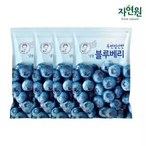 두번엄선한 냉동블루베리 1.13kg x 4팩