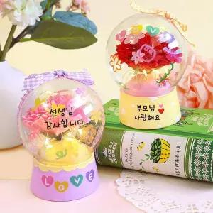 5인세트 LED 카네이션 스노우볼 스승의날 선생님 교사 감사선물 체험수업 단체만들기