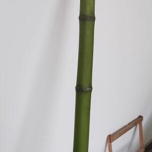 수제 대나무 지팡이, 천연 등산용 가벼운 하이킹 스틱,