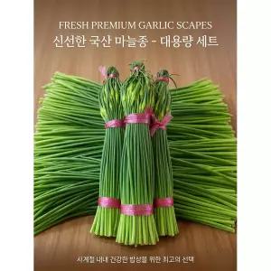 특상품 국산 남해 햇마늘쫑 당일수확 1kg