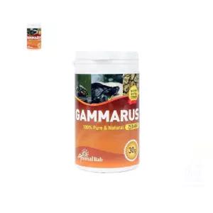 감마루스 건조새우 고단백질사료 거북이