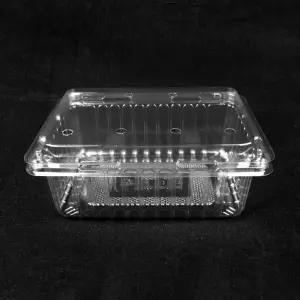 KMD 과일 두릅 500g 아로니아 1kg 포장 용기 1박스 200개 / K2000