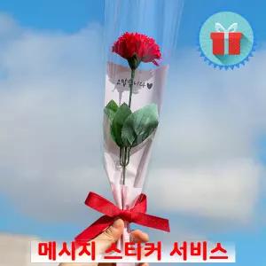 심플포장 메시지 카네이션 비누꽃 한송이 꽃다발 레드 스승의날 어버이날 단체감사선물